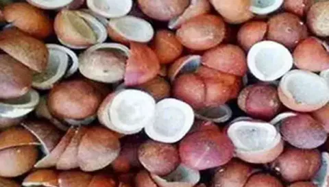 தேங்காய் பருப்பு ரூ.11.23 லட்சத்திற்கு விற்பனை