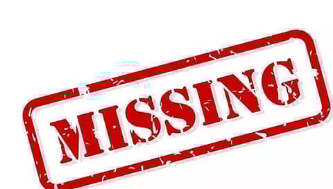 வேலகவுண்டன்பட்டி அருகே பட்டதாரி இளம் பெண் மாயம்