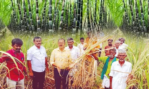 அதிகாரிகள் ஆய்வு கொண்ட காட்சி.