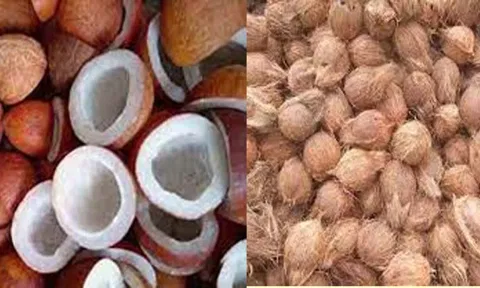 ரூ.5 லட்சத்து 96 ஆயிரத்துக்கு தேங்காய், கொப்பரை விற்பனை