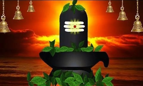 உலர்ந்து போனாலும் பூஜைக்கு பயன்படும் வில்வம்