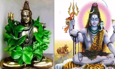 வில்வத்தில் அதிர்வை உணரலாம்