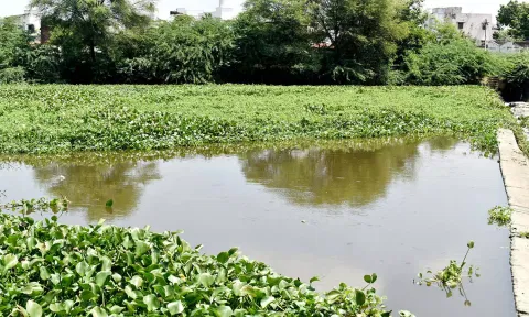 ஈரோடு மாவட்டத்தில் 3-வது நாளாக பரவலாக பெய்த மழை