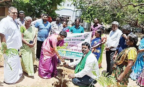 யூனியன் சேர்மன் செல்வி வடமலைப்பாண்டியன் மரக்கன்றுகள் நடும் பணியை தொடங்கி வைத்தபோது எடுத்த படம்.&nbsp;
