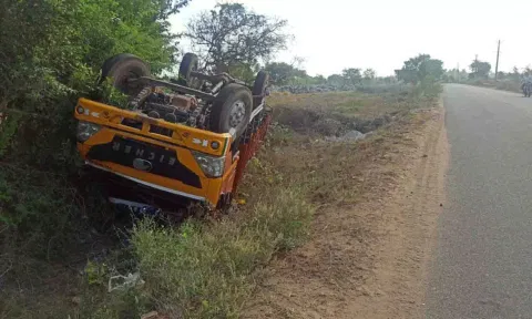 சாலையோரம் கவிழ்ந்து கிடந்த சரக்கு வேன்.