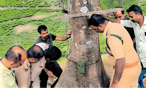 புலிகள் நடமாட்டத்தை கண்காணிக்க வனத்துறையினர் காமிரா பொருத்திய காட்சி.