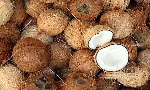 ரூ.1 லட்சத்து 54 ஆயிரத்துக்கு தேங்காய் ஏலம்