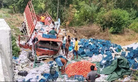 லாரி கவிழ்ந்து 6 டன் மாதுளை, கொய்யா நாசம்