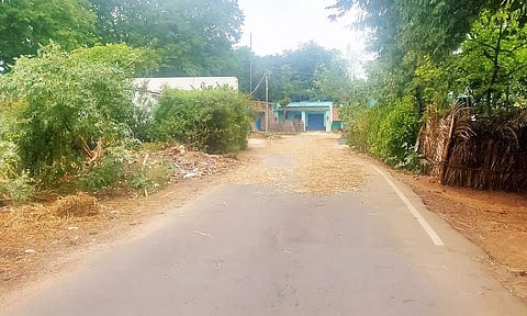 சிம்புள்திராடி காளிங்காவரம் சாலையில் சோளபயிரை காய போட்டு உள்ளதை படத்தில் காணலாம்.