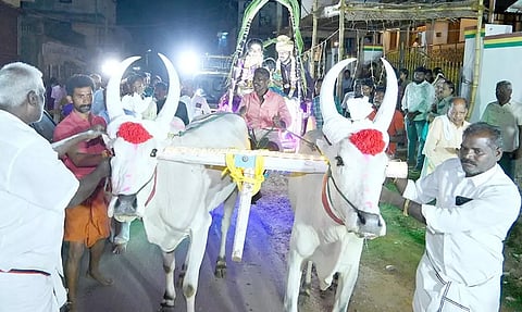 புதுமண தம்பதியினர் மாட்டு வண்டியில் வந்த காட்சி.