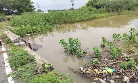 ஏரிக்கு ஆற்று நீர் செல்லும் வாய்க்கால் அடைக்கப்பட்டதால் தண்ணீர் தேங்கி நிற்பதை படத்தில் காணலாம்.