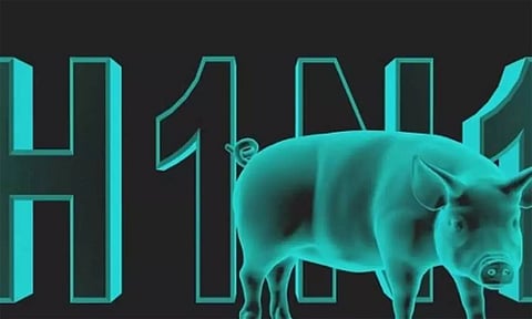 பன்றி காய்ச்சல் யாருக்கும் இல்லை; மாத்திரைகள் இருப்பில் உள்ளது