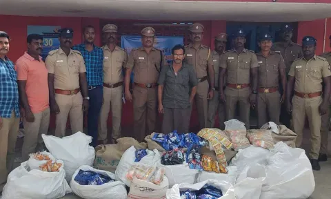 மீஞ்சூர் அருகே  குட்கா பதுக்கி விற்பனை செய்தவர் கைது