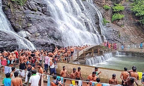 4 நாட்களாக சாரல் மழை: குற்றாலத்தில் மீண்டும் 'குளுகுளு சீசன்'