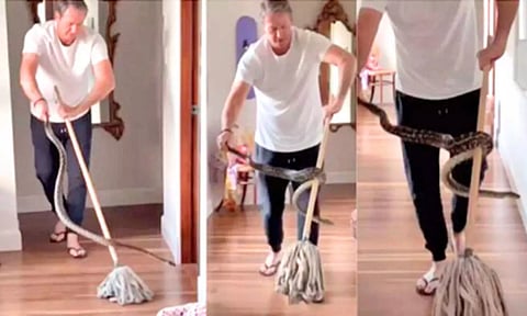 வீட்டுக்குள் புகுந்த மலைபாம்பை துணிச்சலுடன் பிடித்த கிரிக்கெட் வீரர் - வீடியோ