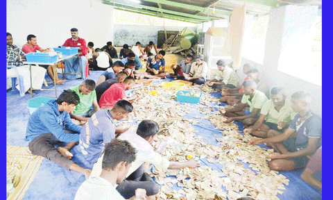 சதுரகிரி கோவிலில் ரூ.44 லட்சம் உண்டியல் வசூல்