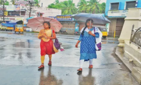 குமரியில் மழை நீடிப்பு திற்பரப்பு அருவியில் ஆனந்த  குளியலிட்ட சுற்றுலா பயணிகள்