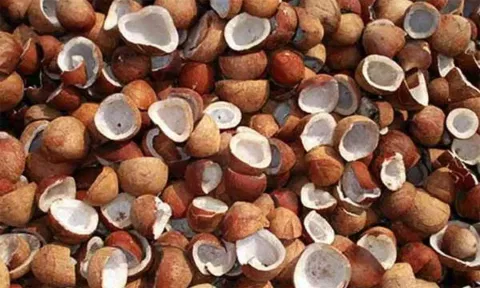 ரூ.1.65 கோடிக்கு கொப்பரை ஏலம்
