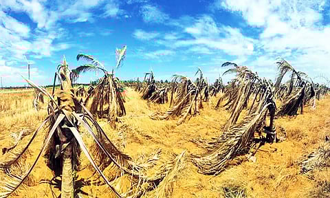 ஒரு சில கிராமங்களில் குடிநீருக்கு தட்டுப்பாடு ஏற்படும் நிலையும் உள்ளது.&nbsp;