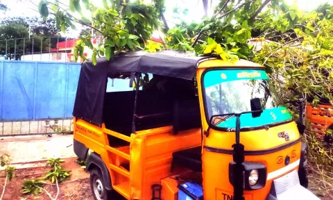 ஆட்டோ மீது மரம் விழுந்து கிடப்பதை படத்தில் காணலாம்.
