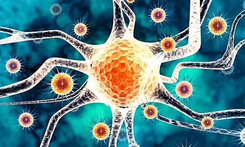 நிபா வைரஸ் தடுப்பு நடவடிக்கை: தமிழக-கேரள எல்லையில் தீவிர கண்காணிப்பு