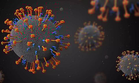 நிபா வைரஸ் பரவல் எதிரொலி: புளியரை சோதனை சாவடியில் மருத்துவக்குழு பரிசோதனை தீவிரம்