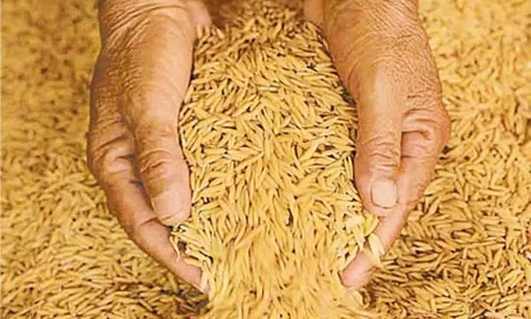 கோப்புபடம்