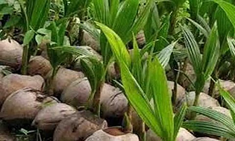 கோப்புபடம்