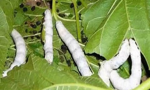 கோப்புபடம்