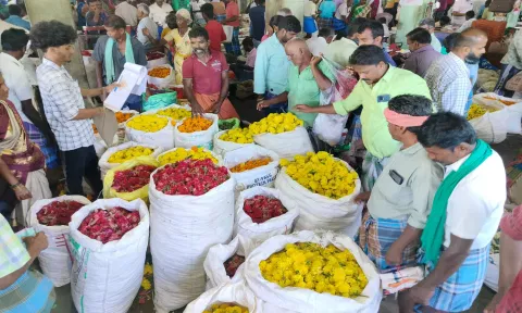 திண்டுக்கல் பூமார்க்கெட்டில் இன்று விற்பனைக்கு வந்த பூக்களை படத்தில் காணலாம்.