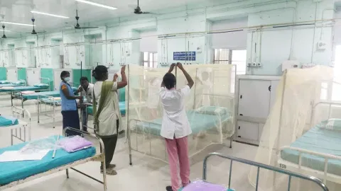 மதுரை அரசு ஆஸ்பத்திரி சிறப்பு வார்டில் படுக்கைகளுக்கு கொசு வலை அமைக்கப்பட்டு வருவதை படத்தில் காணலாம்.