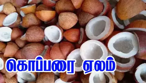 திருச்செங்கோட்டில் கொப்பரை ரூ.5 லட்சத்து 66ஆயிரத்துக்கு விற்பனை