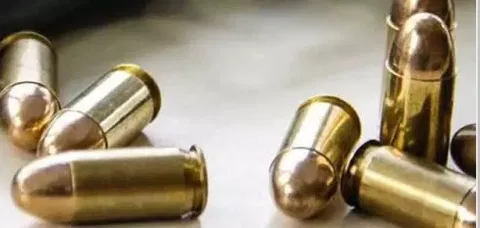 கடலூர் தென்பெண்ணையாற்றில்  தோண்ட தோண்ட கிடைக்கும் தோட்டாக்கள்