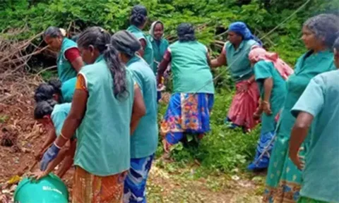 திருப்புகலூர் ஊராட்சியில் தூய்மை சேவை முகாம்