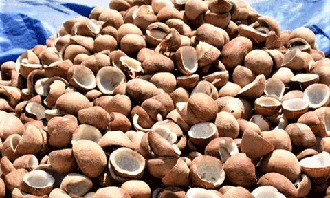ரூ.1.37 கோடிக்கு கொப்பரை ஏலம்