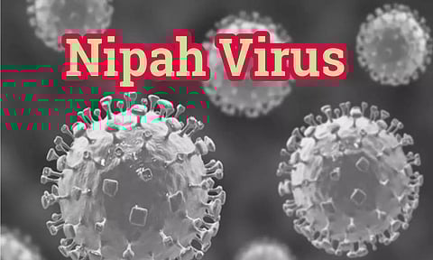 கோப்பு படம்.