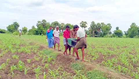 ஓடையில் கிடந்த காலி உண்டியலை கொண்டு வரும் கிராம மக்களை படத்தில் காணலாம்.
