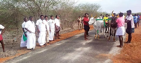 விளாத்திகுளம் அருகே மாட்டு வண்டி எல்கை பந்தயம்