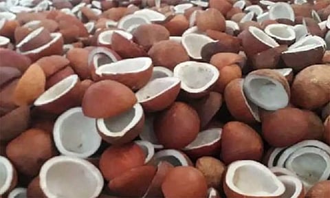 ரூ.35 லட்சத்து 29 ஆயிரத்துக்கு தேங்காய் பருப்பு ஏலம்