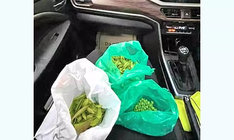 போக்குவரத்து நெரிசலில் சிக்கிய போது காய்கறி உறித்த பெண்