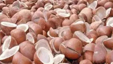 கொங்கணாபுரத்தில் ரூ.2.72 லட்சத்திற்கு தேங்காய் பருப்பு விற்பனை
