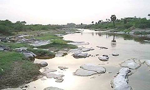 நொய்யல் ஆறு.