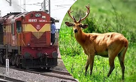 கோப்பு படம்.