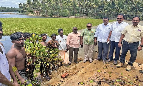 விவேகானந்தா கல்லூரி சார்பில் ஆகாயத்தாமரைகள் அகற்றும் பணி