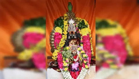 சேலம் கோட்டை மாரியம்மன் கோவிலில் உள்ள சாமி சிலையின் மீது பச்சைக்கிளி ஒன்று கடந்த 3 நாட்களாக அமர்ந்துள்ளது. இதனை பக்தர்கள் பரவசத்துடன் பார்த்து வணங்கி செல்கின்றனர்.