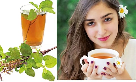 தினமும் துளசி டீ பருகினால்... உண்டாகும் நன்மைகள்