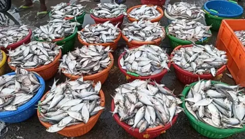 சேலம் மீன் மார்க்கெட்டில் கடல் மீன்களின் விலை ரூ.100 சரிவு
