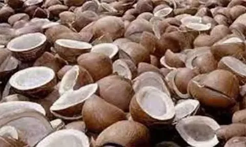 ரூ.1.53 கோடிக்கு கொப்பரை ஏலம்