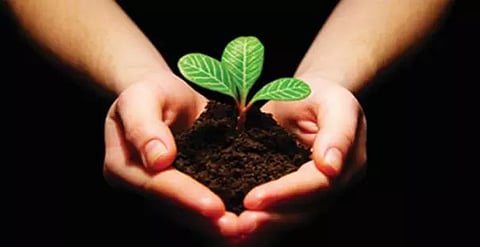 மரம் வளர்ப்பு குறித்த விழிப்புணர்வு ஊர்வலம்