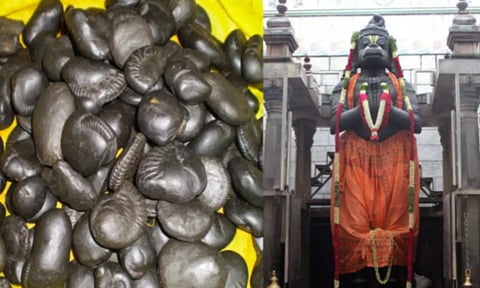 மலையாக உருவெடுத்த சாளக்ராம்